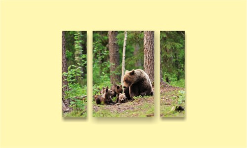 лес медвежата медведица