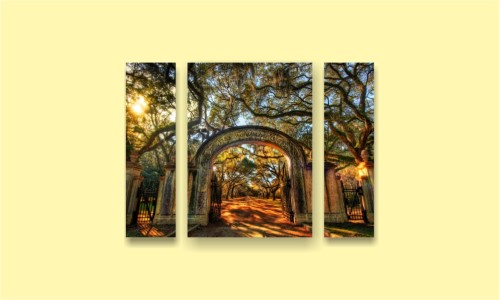 парк арка деревья закат